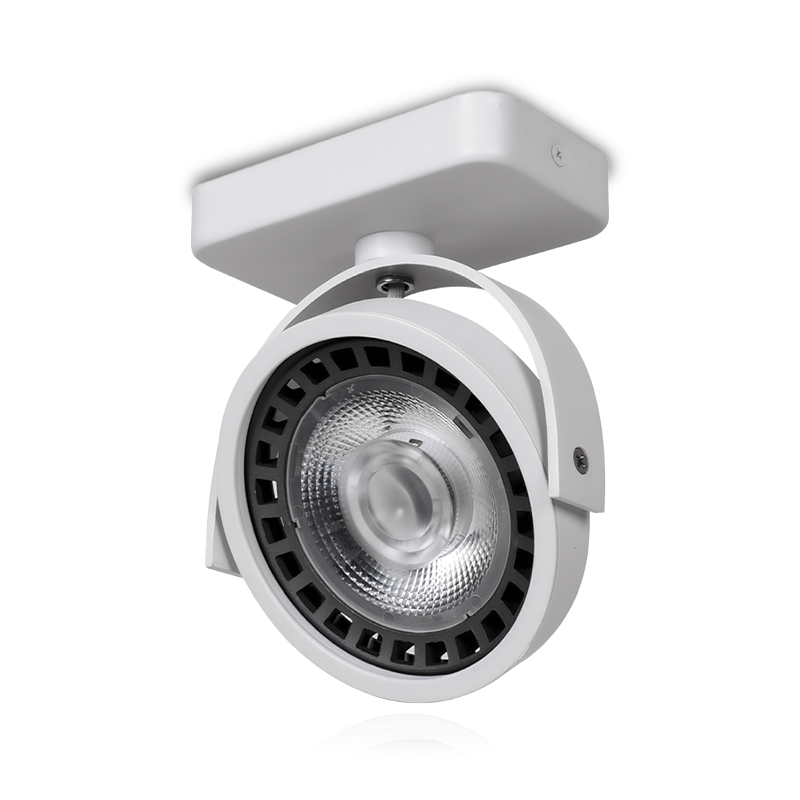 led-opbouw-spot-plafond-ar111-wit