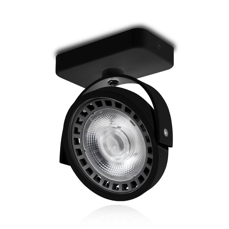 ar111-armatuur-zwart-kantelbaar